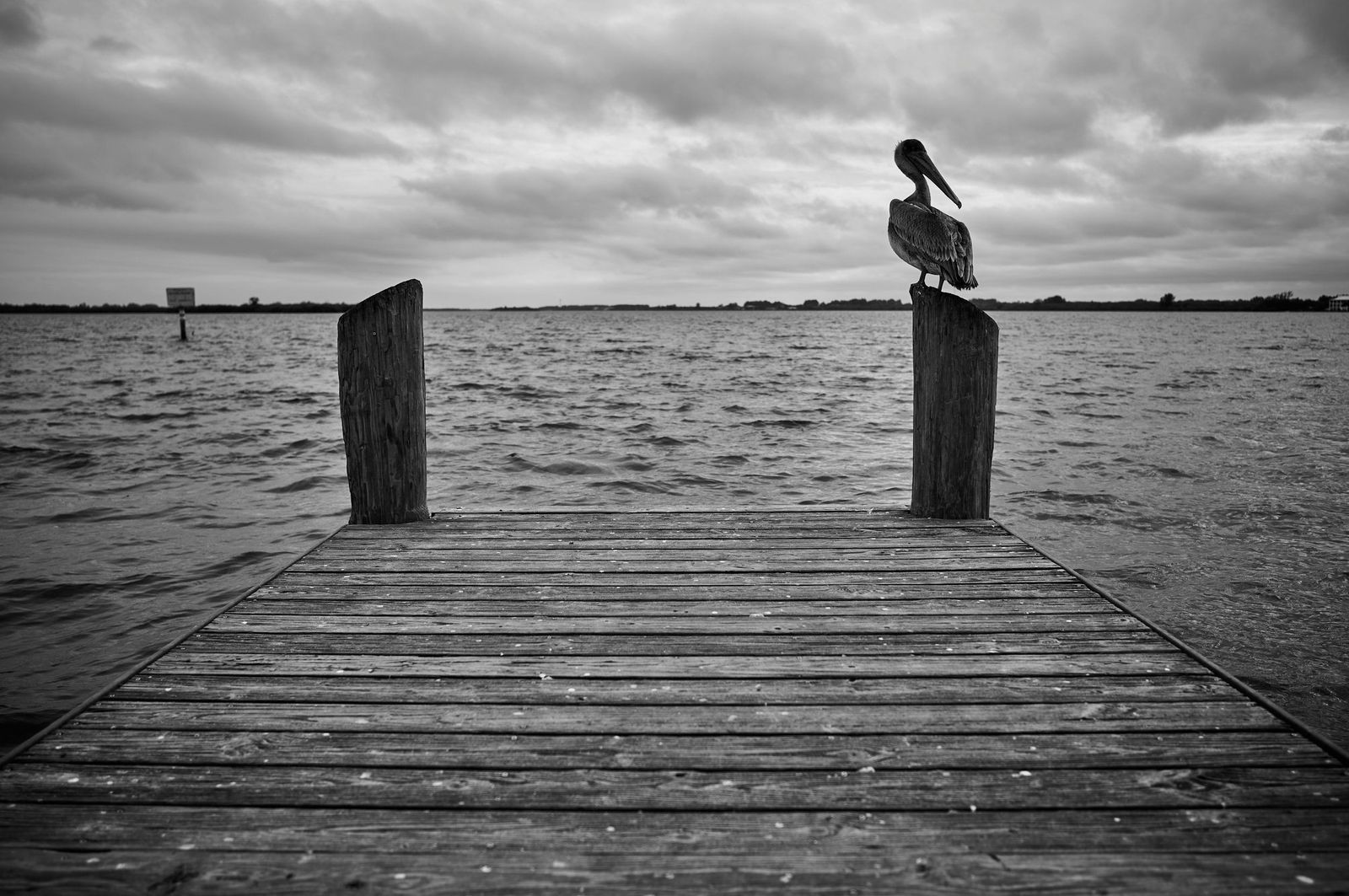 Black and white photo of a pelican perched on a wooden dock post over choppy water under heavy clouds